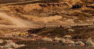 [图]霍伊伦双响伊尔迪兹破门 那不勒斯2-1尤文图斯